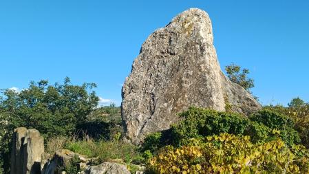 Menhir de la Pedra Alta.