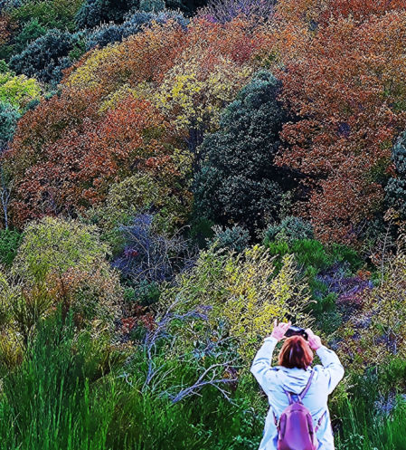 Otoño en el Montseny.