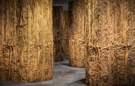 'Bosc mineral', 2025