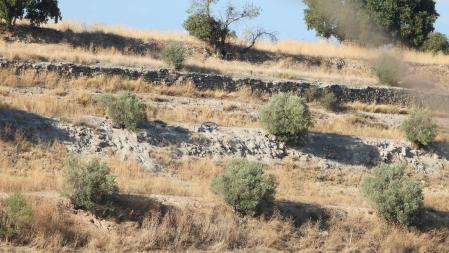 Solución al Reto visual del aguilucho.