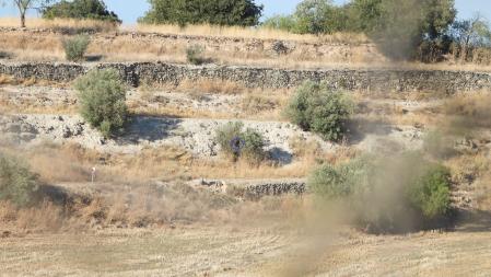 La posición del aguilucho señalizada.
