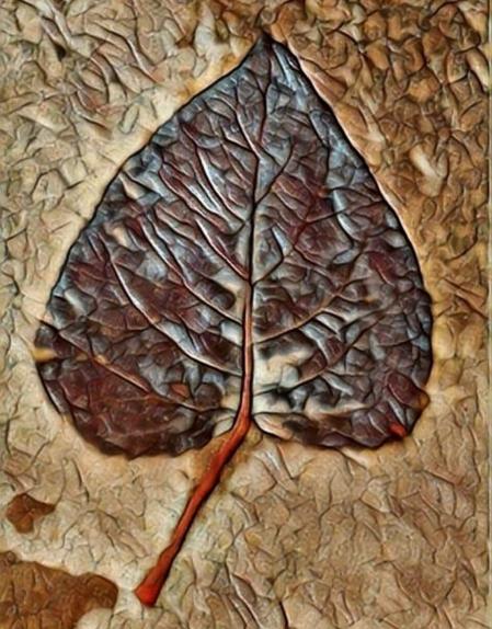 La poesía visual de las hojas del otoño.