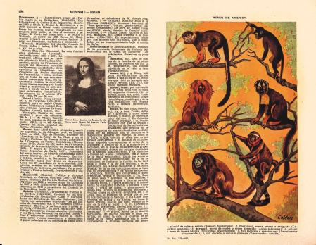 Mones d’Amèrica dibuixades per Pere Calders amb la ‘Mona Lisa’ al costat ’