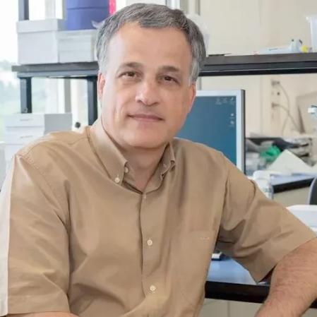 José Manuel Fernández-Real es desde el año 2023 decano de la Facultad de Medicina de la UdG y presidente de la Associació Catalana de Diabetis desde 2022.