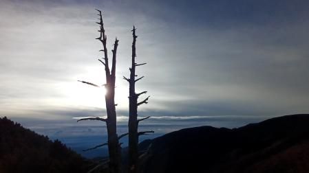 El contraste del árbol muerto de la Serra d'Ensija.