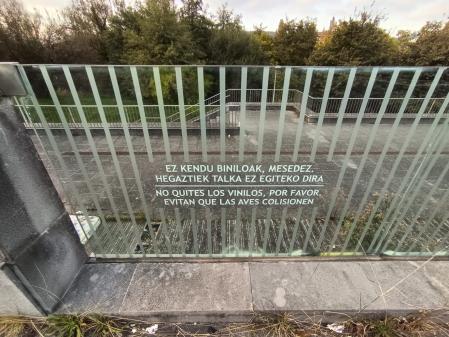 Cristalera del ayuntamiento de San Sebastián