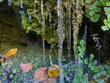 Carámbanos en la riera del Sorreigs en Santa Cecilia de Voltrega, en Osona.
