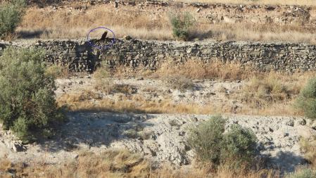 Solución a la segunda fotografía.