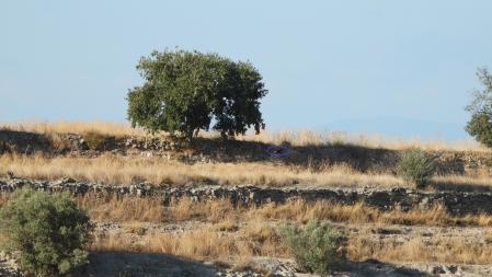 Solución a la última fotografía.