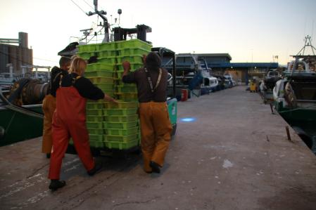 Pescadores en el puerto de Tarragona