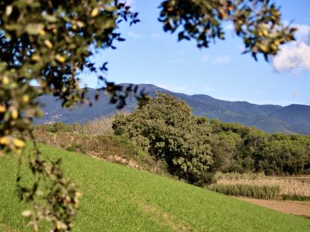 Otoño en el Baix Montseny.