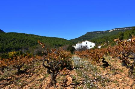 Otoño en Torrelles de Foix.