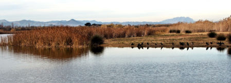 Otoño panorámico en el Delta del Llobregat.