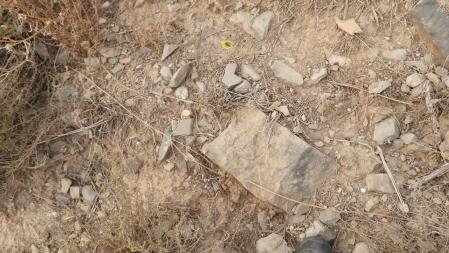 Solución al Reto visual de la mosca.