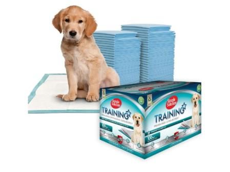 Simple Solution Almohadillas de Entrenamiento de Perro y Cachorro Premium (Pack de 100)