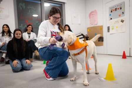 Las terapias asistidas con animales nacen como una herramienta complementaria capaz de ofrecer regulación emocional, motivación y un espacio seguro para trabajar aspectos profundos del trastorno.&nbsp;