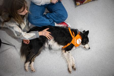 Según la Sociedad Española de Médicos Generales y de Familia (SEMG), en España existen alrededor de 400.000 personas con trastornos de la conducta alimentaria.&nbsp;