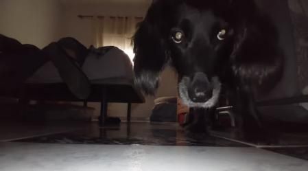 El robot encuentra a Kauko en la habitación.jpeg