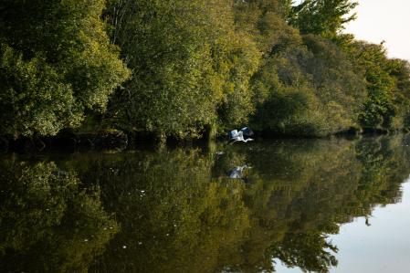 Los manglares se suceden en un paseo en barca por los canales