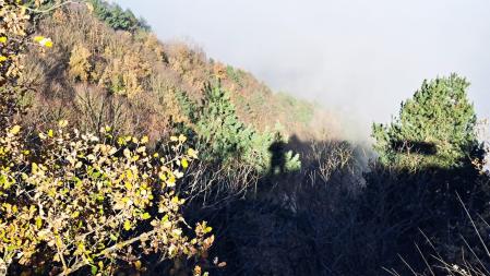 Niebla en la Plana de Vic.