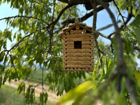 Una caja-nido junto a los viñedos de Jean Leon realizada con corchos de la añada 1996 
