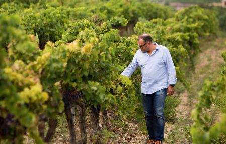 Josep Grau, propietario de la bodega de Capçanes que lleva su nombre&nbsp;