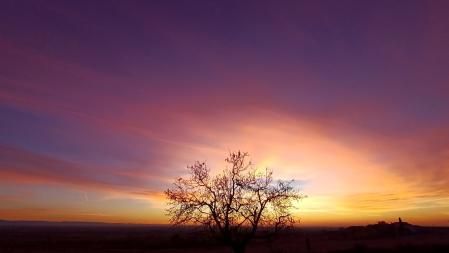 La puesta de sol del árbol de Claravalls.