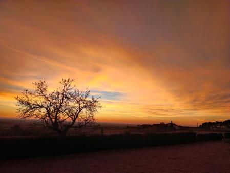 La puesta de sol del árbol de Claravalls.