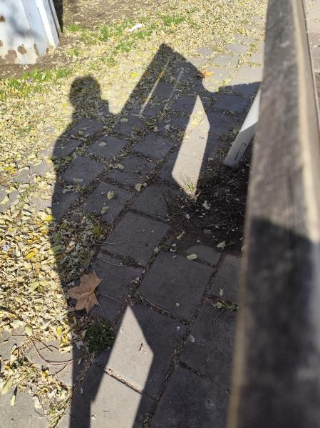 Luces y sombras de Barcelona.