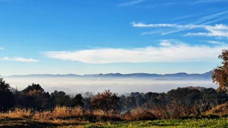 Niebla en Osona.