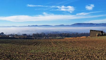 Niebla baja en el campo, en Osona.