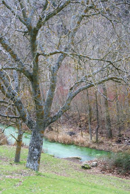Las aguas del río Dulce son ricas en truchas y nutrias