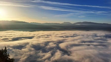 La niebla cubre el pantano de Sau.