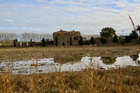 Cielo de borreguitos en Torroella de Montgrí.