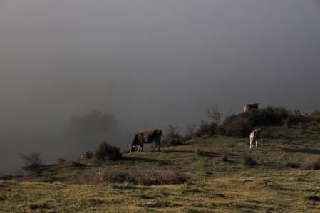 Vistas desde el santuario del Far.