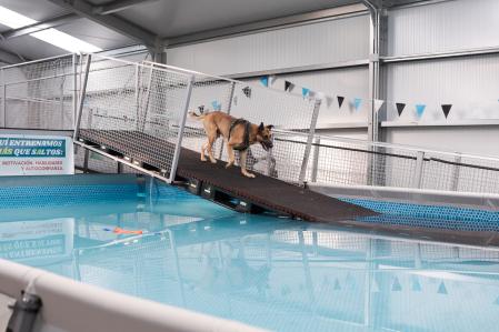 Piscina accesible de Wonderdog, diseñada para favorecer el bienestar físico y emocional de los perros