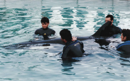 Kshamenk en la piscina médica en proceso de rehabilitación. Año 1992_
