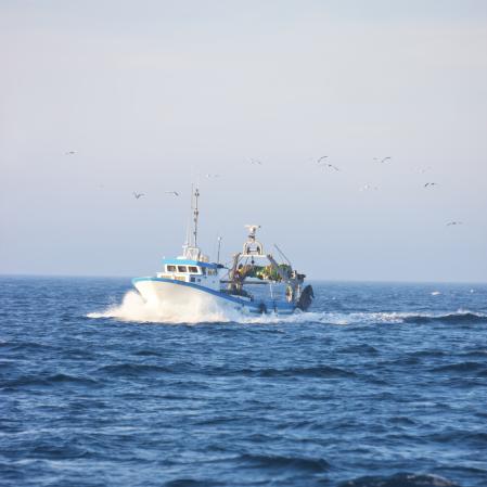 Colaboración. La colaboración del sector pesquero es fundamental para lograr la sostenibilidad medioambiental y económica del océano junto con los gobiernos, la sociedad civil y las organizaciones de conservación.