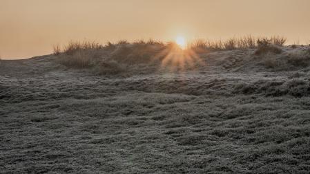 El sol gélido, en Manlleu.