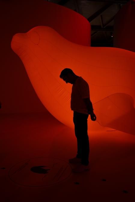 Antarctica Experience