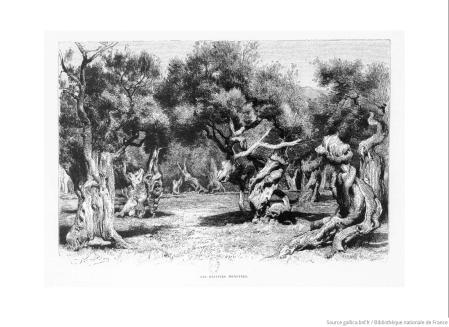 Grabado de Gaston Vuillier en el libro de viajes 'Les Illes Oubliées'