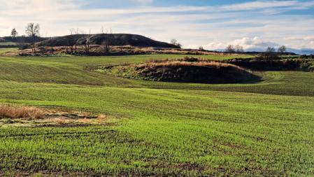 Campos de Torelló tras el temporal.