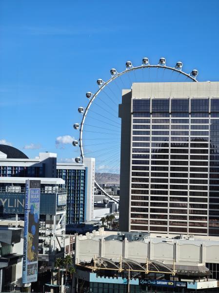 Imagen de la Noria de Las Vegas tomada con el Motorola Signature.