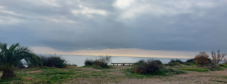 Reto visual: ¿Cuántos gorriones ves en 30 segundos?