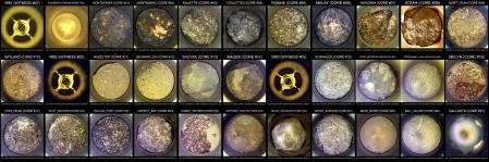 Estas son algunas de las muestras que Perseverance ha tomado, fotografiadas antes que quedasen almacenadas en el interior del robot