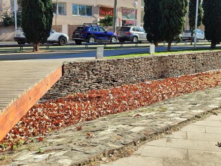 El río de hojas secas de la Vila Olímpica.