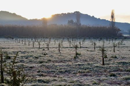 Los campos escarchados de Mont-ras.