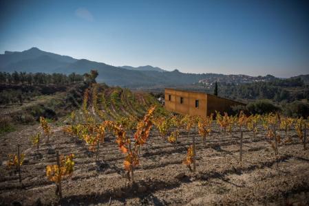 Capçanes, donde se elabora este vino.&nbsp;