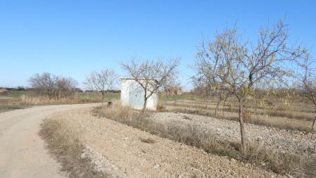 Reto visual: ¿Eres capaz de ver al colirrojo tizón?