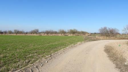 Solución al Reto visual del colirrojo tizón.